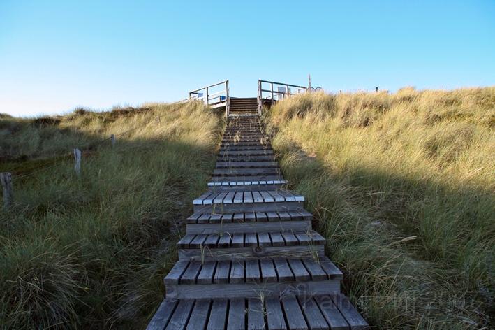 Der Duehnenweg.jpg - Der Weg in den Dühnen von Sylt